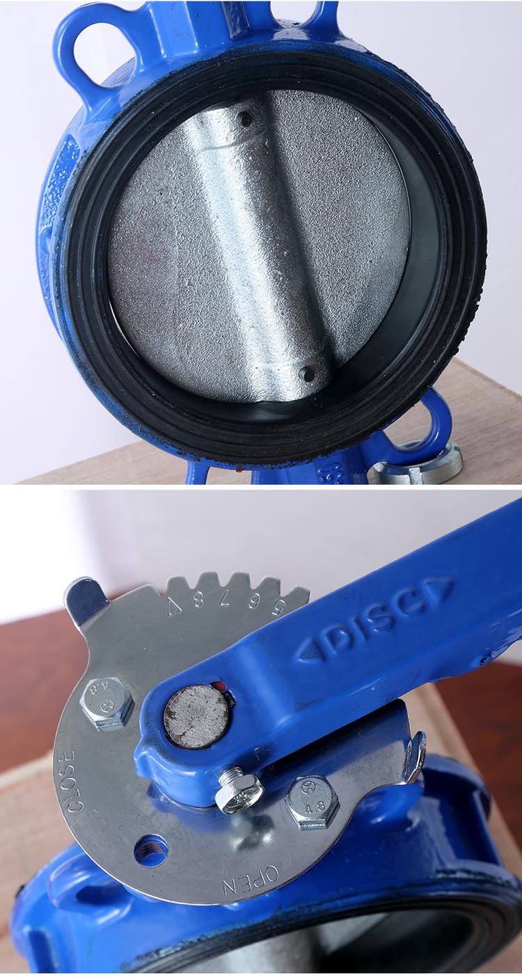 D71X-10手動蝶閥